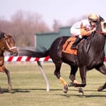 From the Spa: July 27 Midlantic-breds in Saratoga stakes