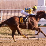 Notes from the Maryland Racing Commission