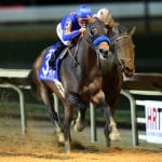 Ben’s Cat earns third Md.-bred Horse of the Year title