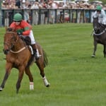 NJ breeders hang on in the face of challenges