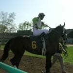 Midlantic horses make a splash in Louisville
