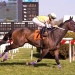 Preakness Update, Wednesday p.m.