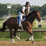 Decision may be move toward program to boost Maryland horse breeding