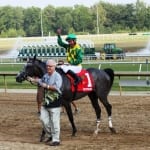 For one retired Thoroughbred, a long and winding road home