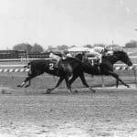 “Trying harder” to fill Preakness weekend stakes