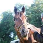 Gabby Gaudet’s longshots and exotic plays for Preakness day