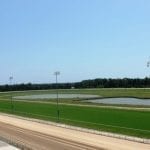 Delaware Park horses to watch: June 8