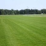 Handicapping Delaware: G3 Obeah and the Go for Wand