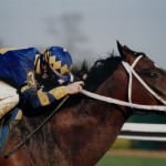 Once almost a movie star, retired Thoroughbred learns a new trade