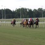 NJ-based breeder Michael Parisi follows “Treacherous” road after joy of Lovely Syn