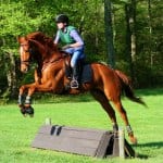 Natural Attraction first winner for Golden Years