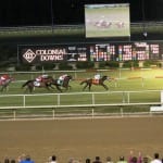 Equine Camille Claudel looks to make her own way