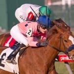 On tap: Weekenders to watch