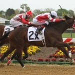 For Ken Ramsey, Thank You Marylou is part horse — part message