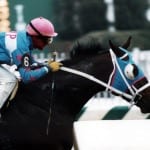 For Ken Ramsey, Thank You Marylou is part horse — part message