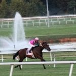 NJ-based breeder Michael Parisi follows “Treacherous” road after joy of Lovely Syn