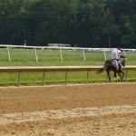Mucho Gusto tops first 2020 NTRA Top Thoroughbred Poll