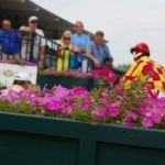 De Francis Dash draws three dozen nominees