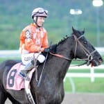 Happy Endings: Escape artist Rocky Times thrives as an eventer