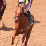 Parx Racing barns quarantined as a result of EHV-1