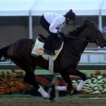 Laurel Park: Alternative trainer stats through May 2