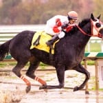 On Tap: Region’s best racing for November 9