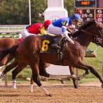International jockey safety conference attracts few from U.S.