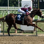 Xavier Perez, saving room for another “big horse”