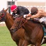 Ben’s Cat inches by to win Laurel Dash