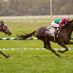 Ben’s Cat inches by to win Laurel Dash