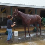 Turf’s up for Ben’s Cat