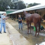 It’s not too soon to think Preakness; tickets go on sale Tuesday