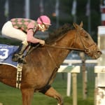 Who let these guys vote in the NTRA Top Thoroughbred Poll?