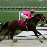 Maryland Racing Commission adopts multiple medication violation points