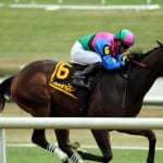 So, a handicapper goes to Charles Town…