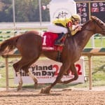 No Bull Addiction back for seconds in Md. Million Turf