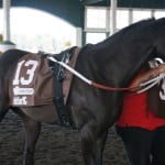 LookBack: Questions answered