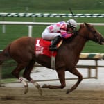 Any Given Saturday heads to Pin Oak Lane