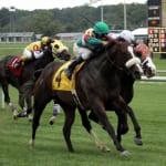 At the Maryland Racing Commission, fighting, then “linking arms”