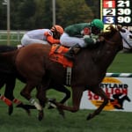 Maryland Handicapping Series Leg 8 picks are live!