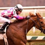 Dance to Bristol heads to retirement in style