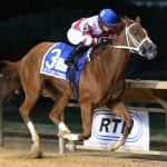 Top Midlantic-bred Polls: Solved