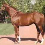 Bobby Zen: Looking for stars among the juvenile set