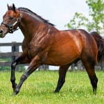 On Tap: Region’s best racing for November 9