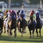 HandleTrak: Region’s wagering benefits from Breeders’ Cup simulcasts