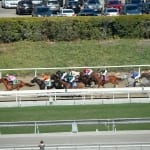 HandleTrak: Region’s wagering benefits from Breeders’ Cup simulcasts