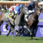Super Chunky takes Laurel Park feature