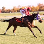 On Tap: Breeders’ Cup weekend