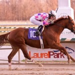 Charles Town Oaks elevated to graded status