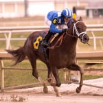 Tentative Laurel Park winter stakes schedule unveiled
